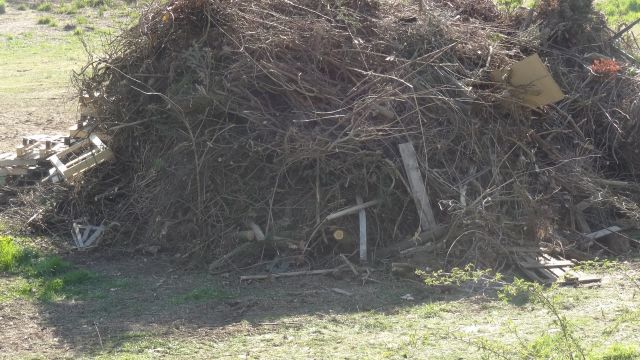 Carnaval 31 mars 2019 (81).JPG